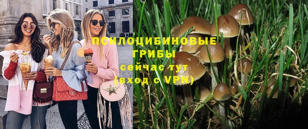 прущая мука Магас