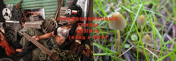 мяу мяу мука Долгопрудный