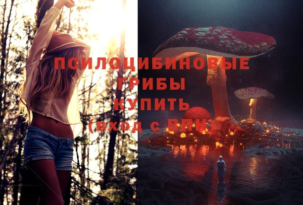 прущая мука Магас